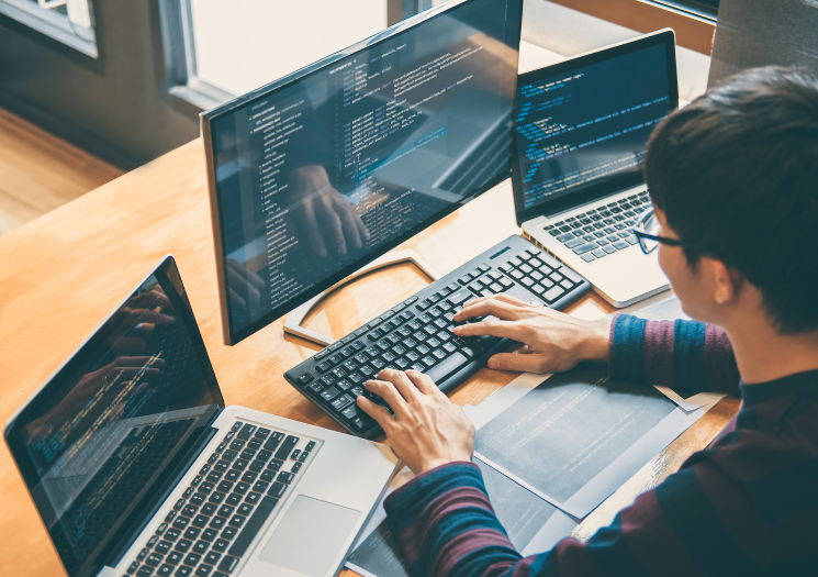 Web Development Services.